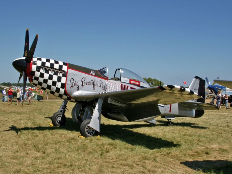 P51