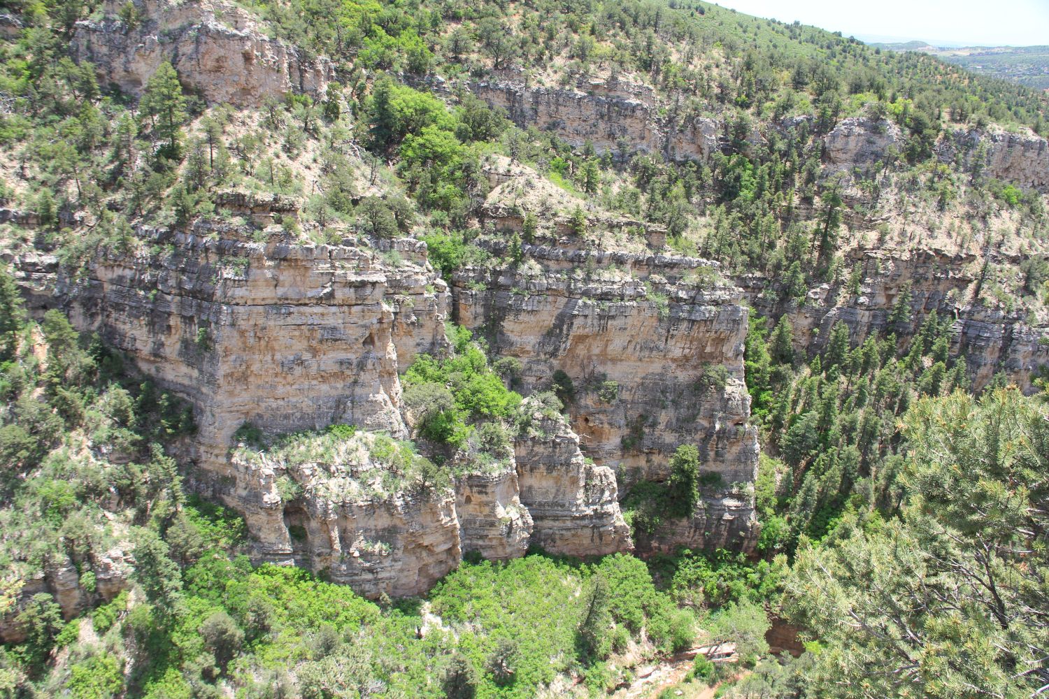 Cave Entrance