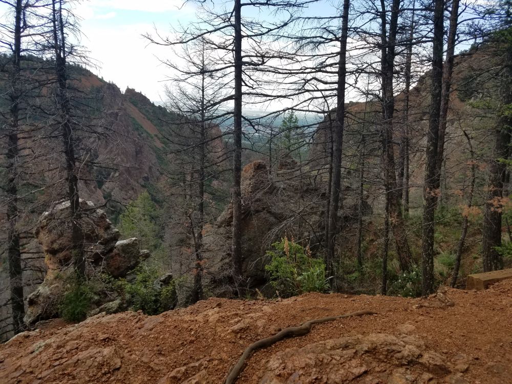 Mt. Cutler