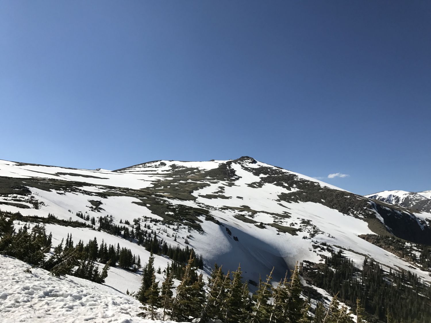 Trail Ridge Road