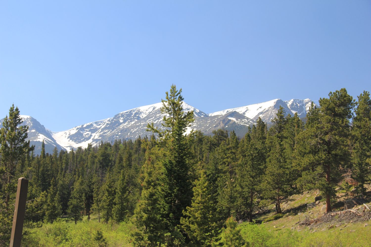 Trail Ridge Road