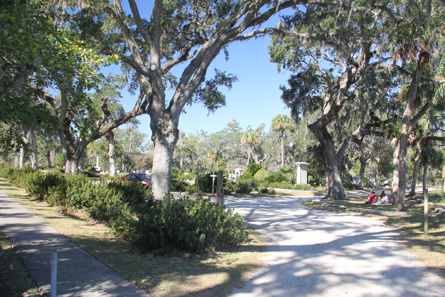 Bonaventure Cemetery