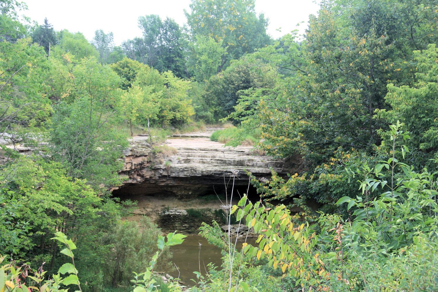 Fonferek