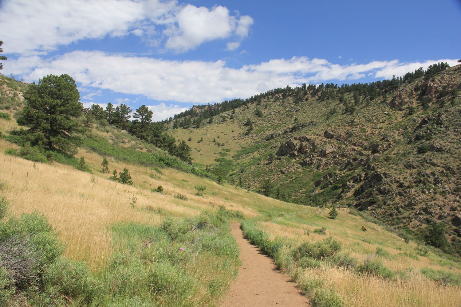 Horsetooth Falls