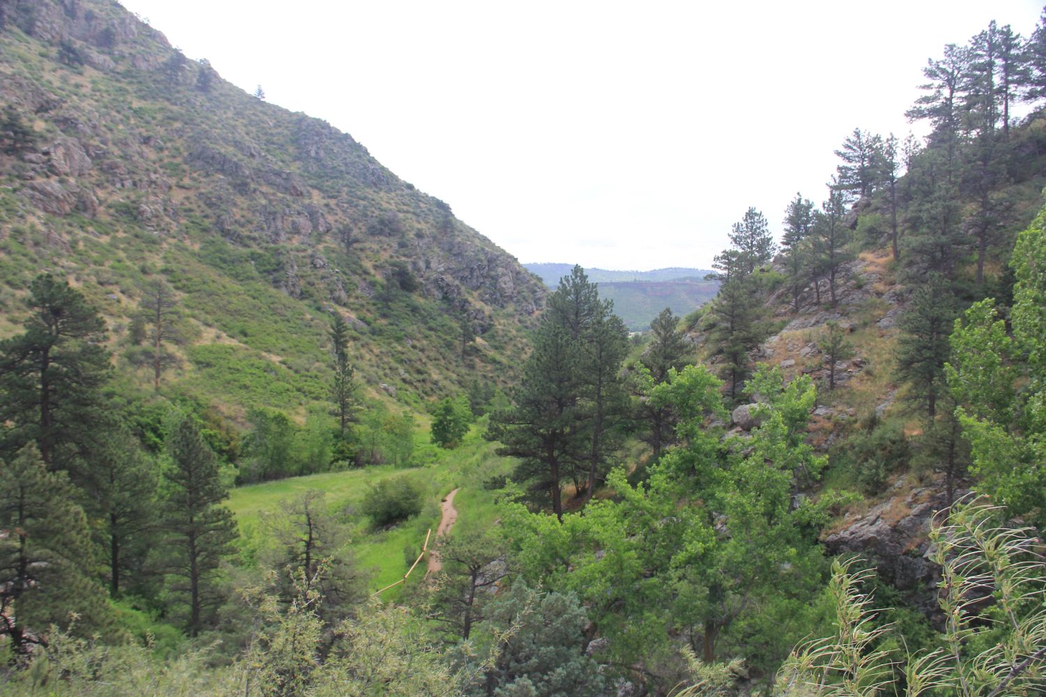 Horsetooth Falls