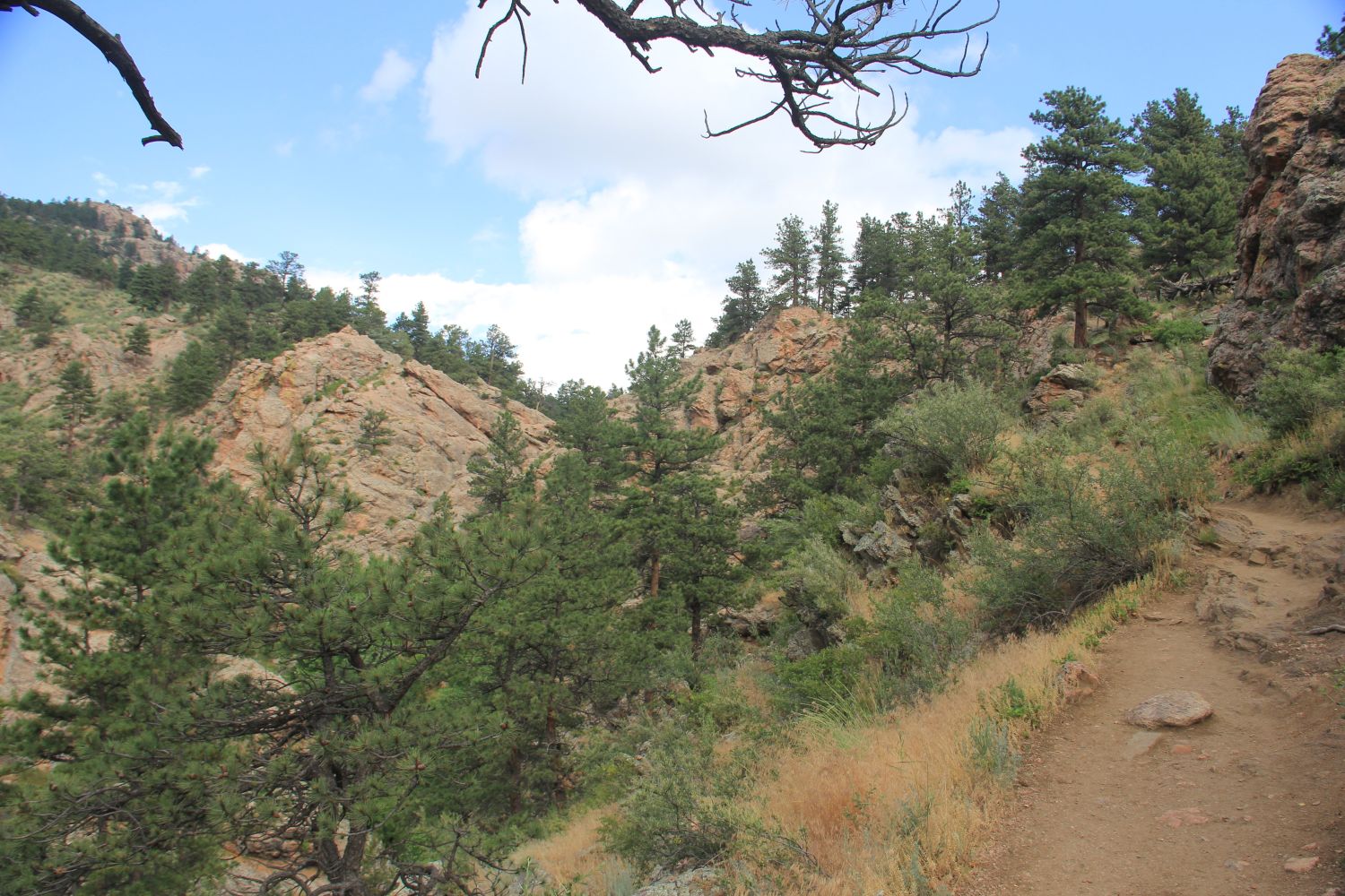 Horsetooth Falls