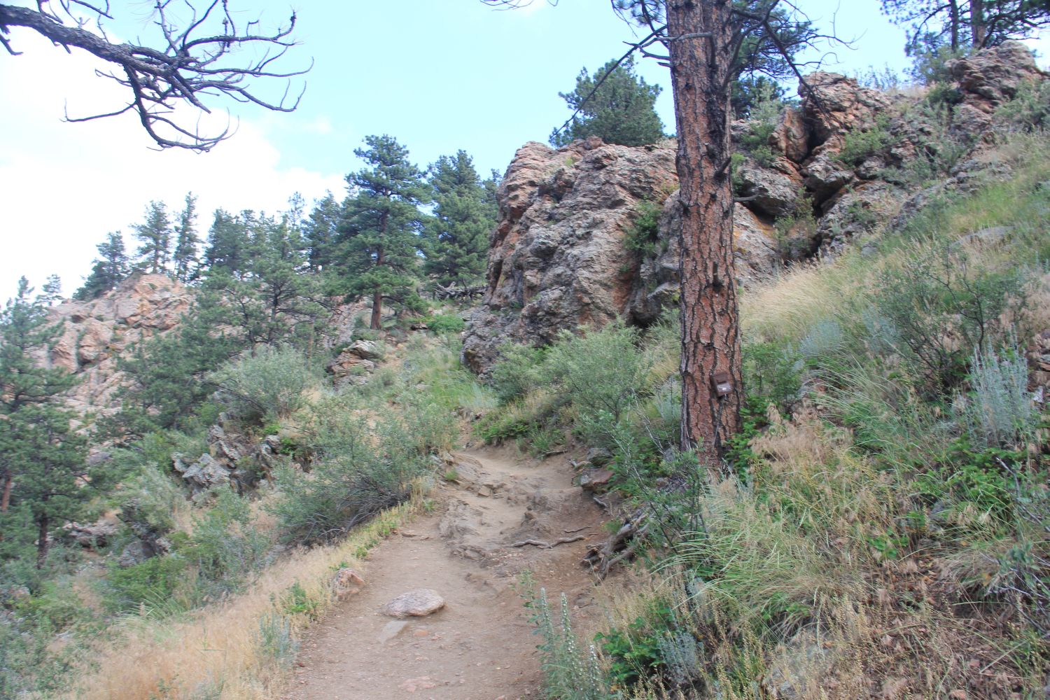 Horsetooth Falls