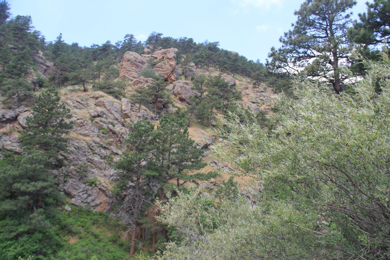 Horsetooth Falls