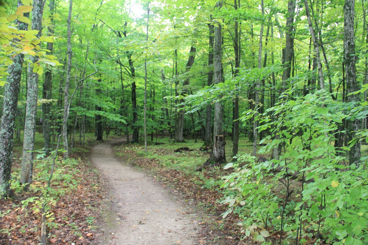 Peninsula State Park