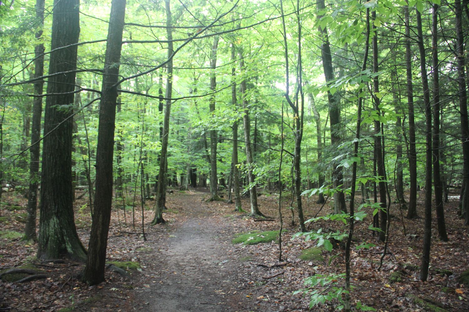 Peninsula State Park