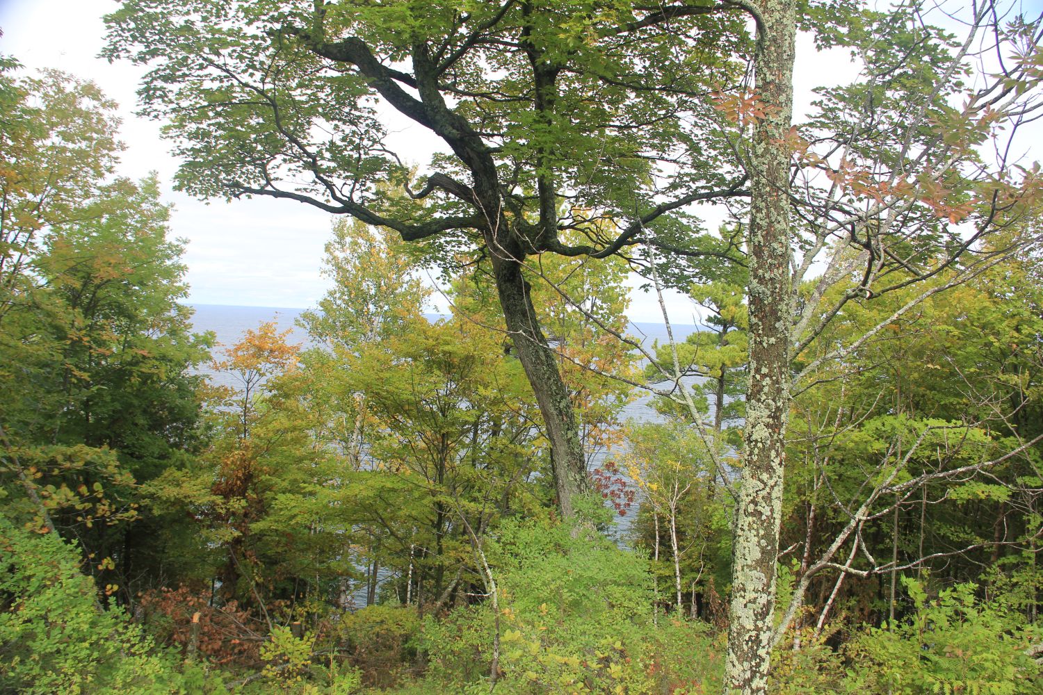 Peninsula State Park