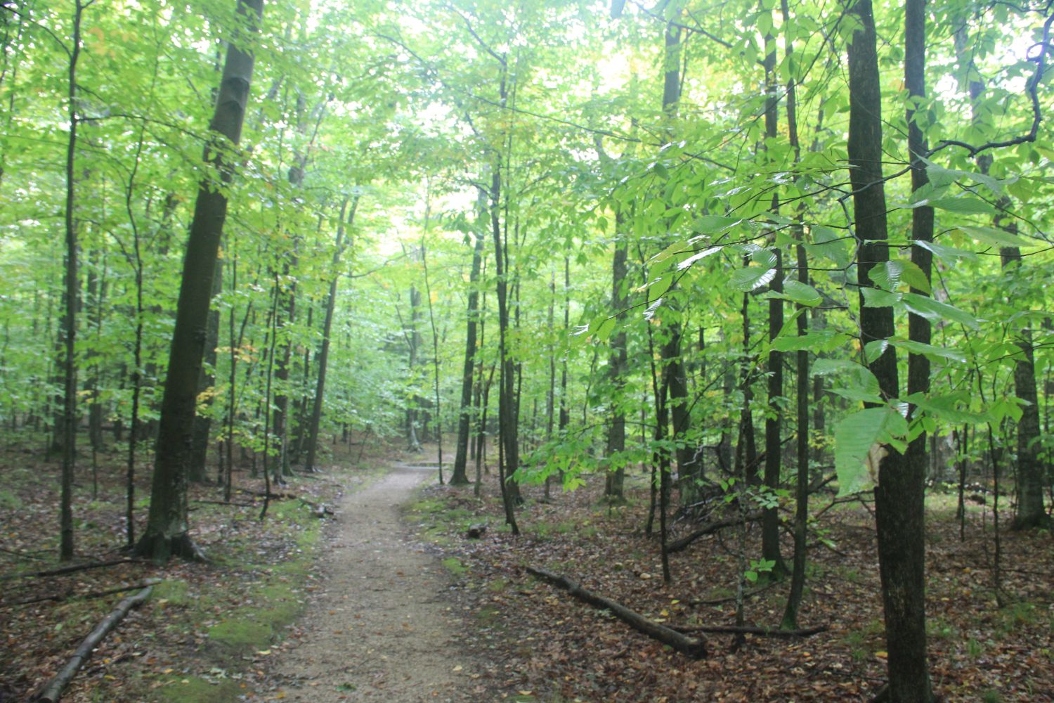 Peninsula State Park