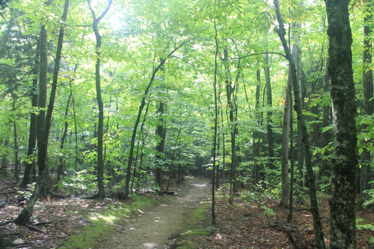 Peninsula State Park