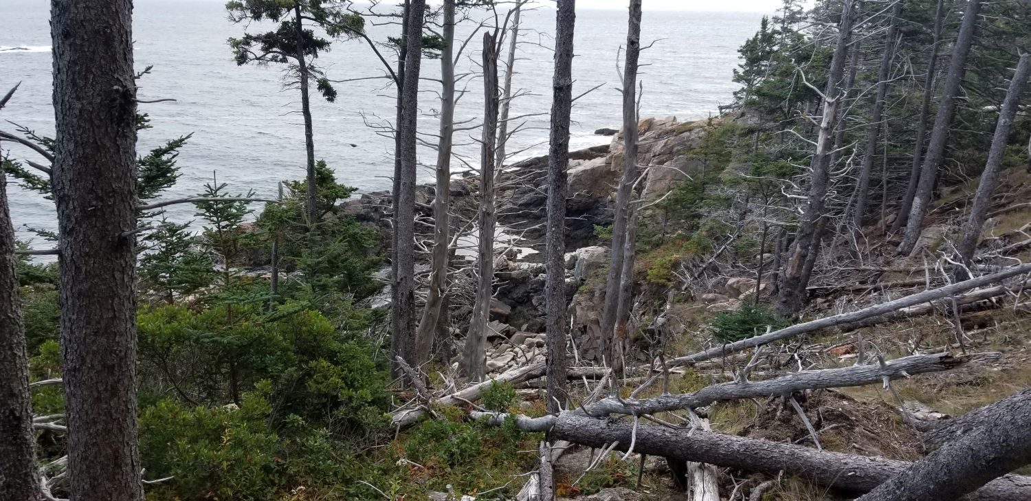 Ocean View Hike