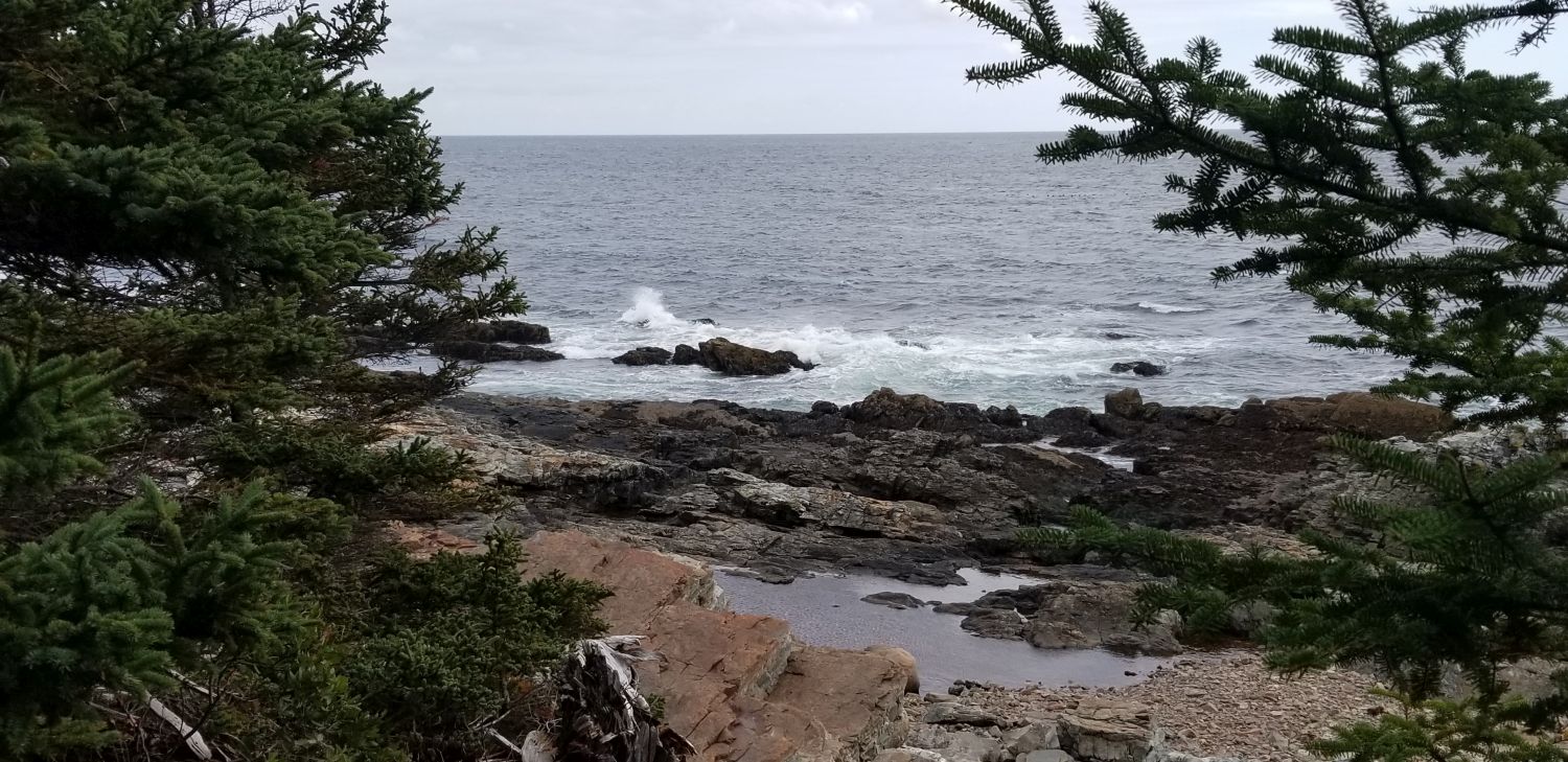 Ocean View Hike