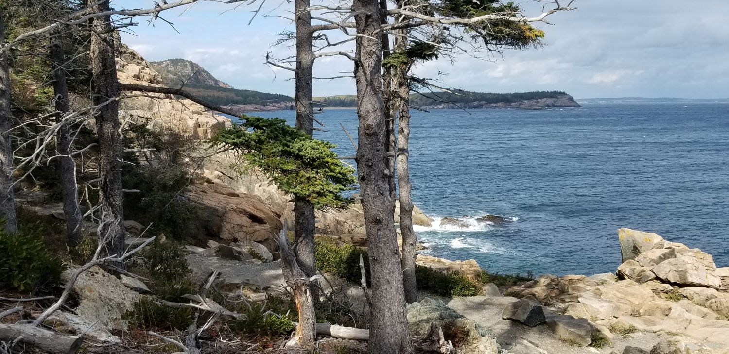 Ocean View Hike