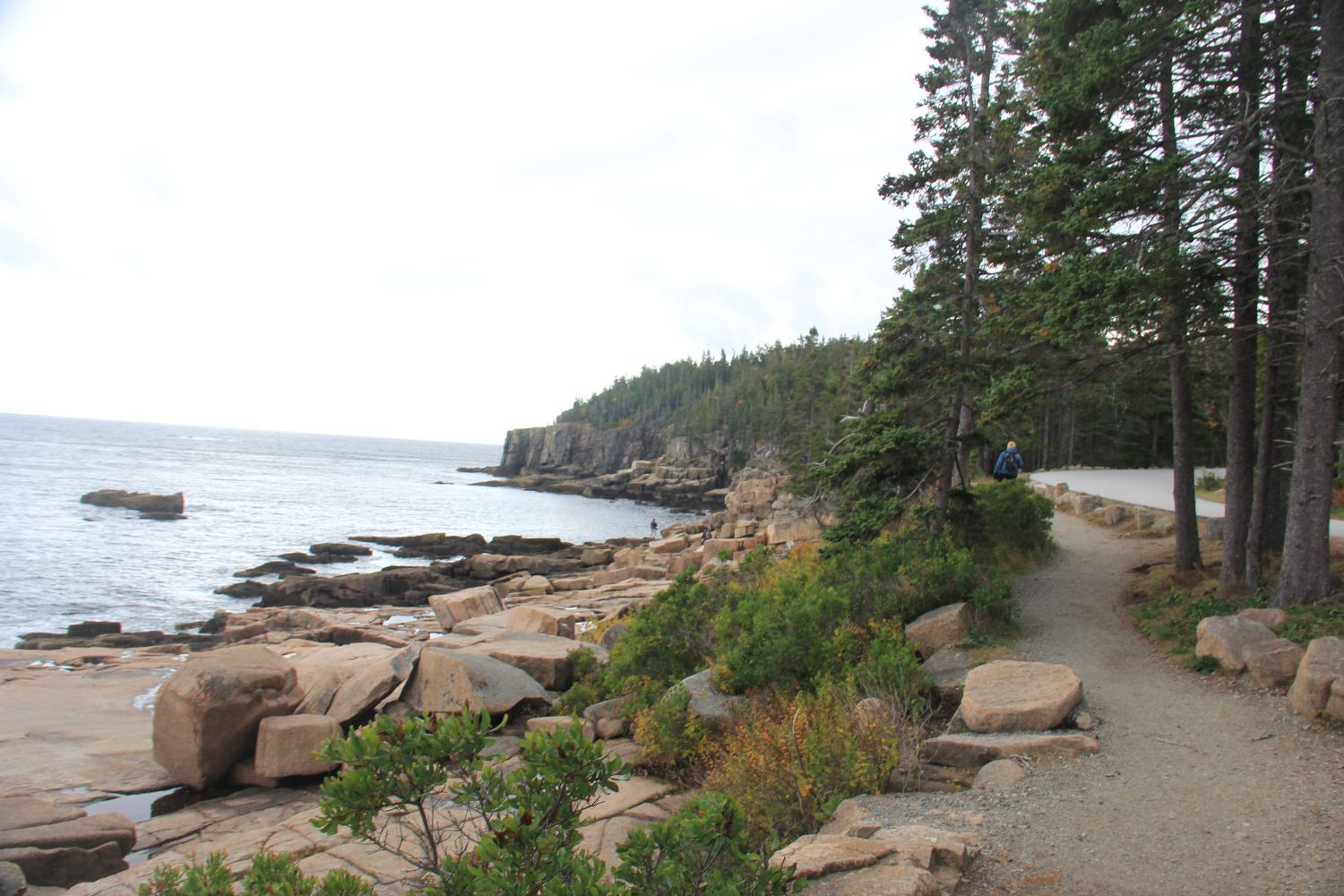 Ocean View Hike