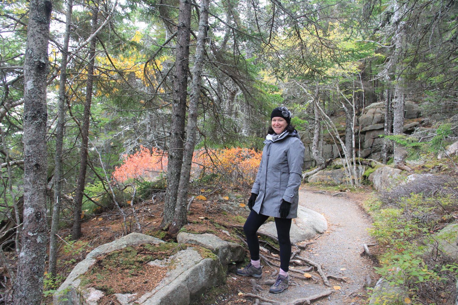 Ocean View Hike