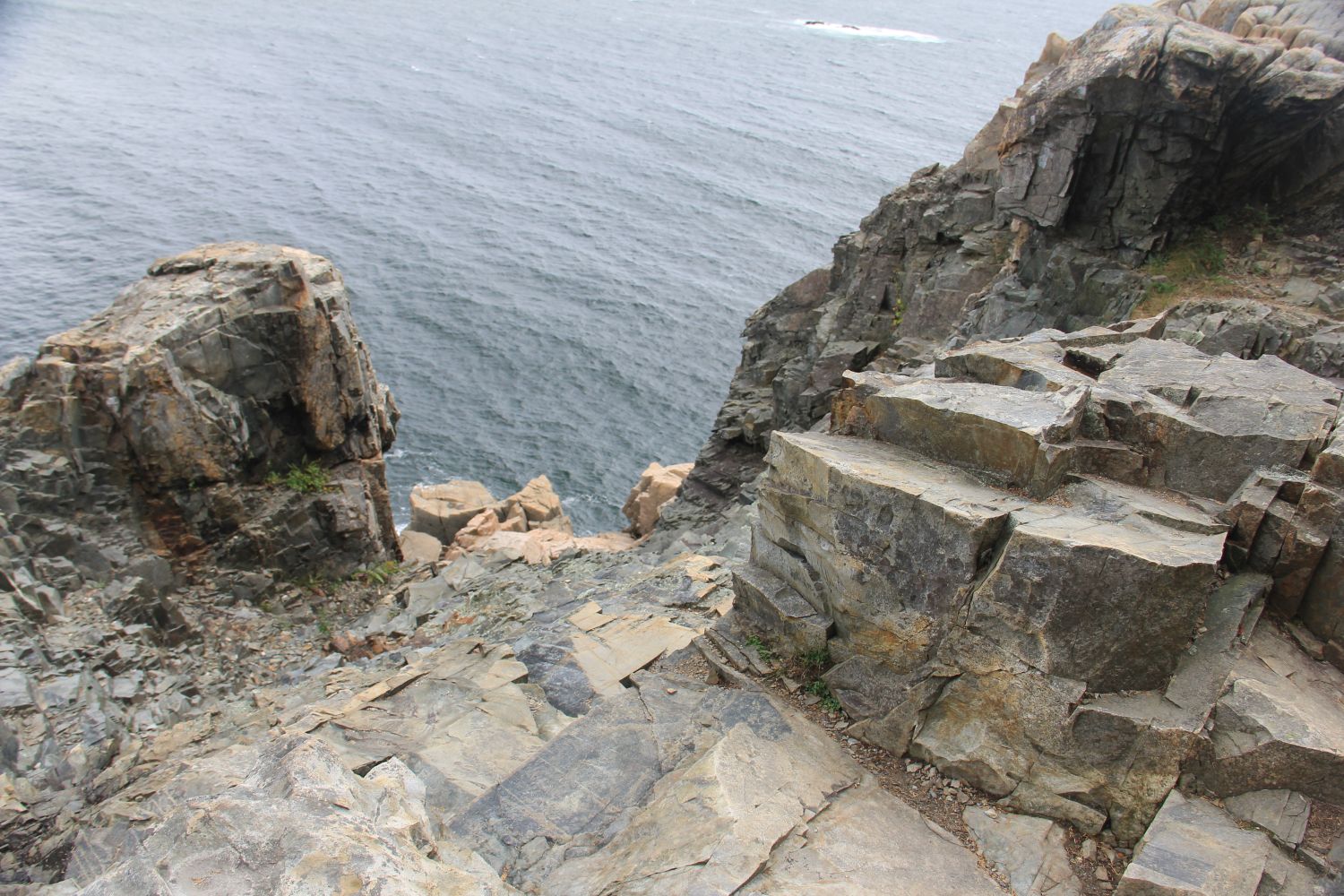 Ocean View Hike