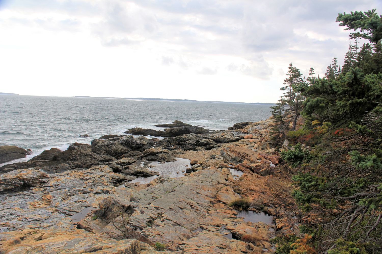 Ocean View Hike