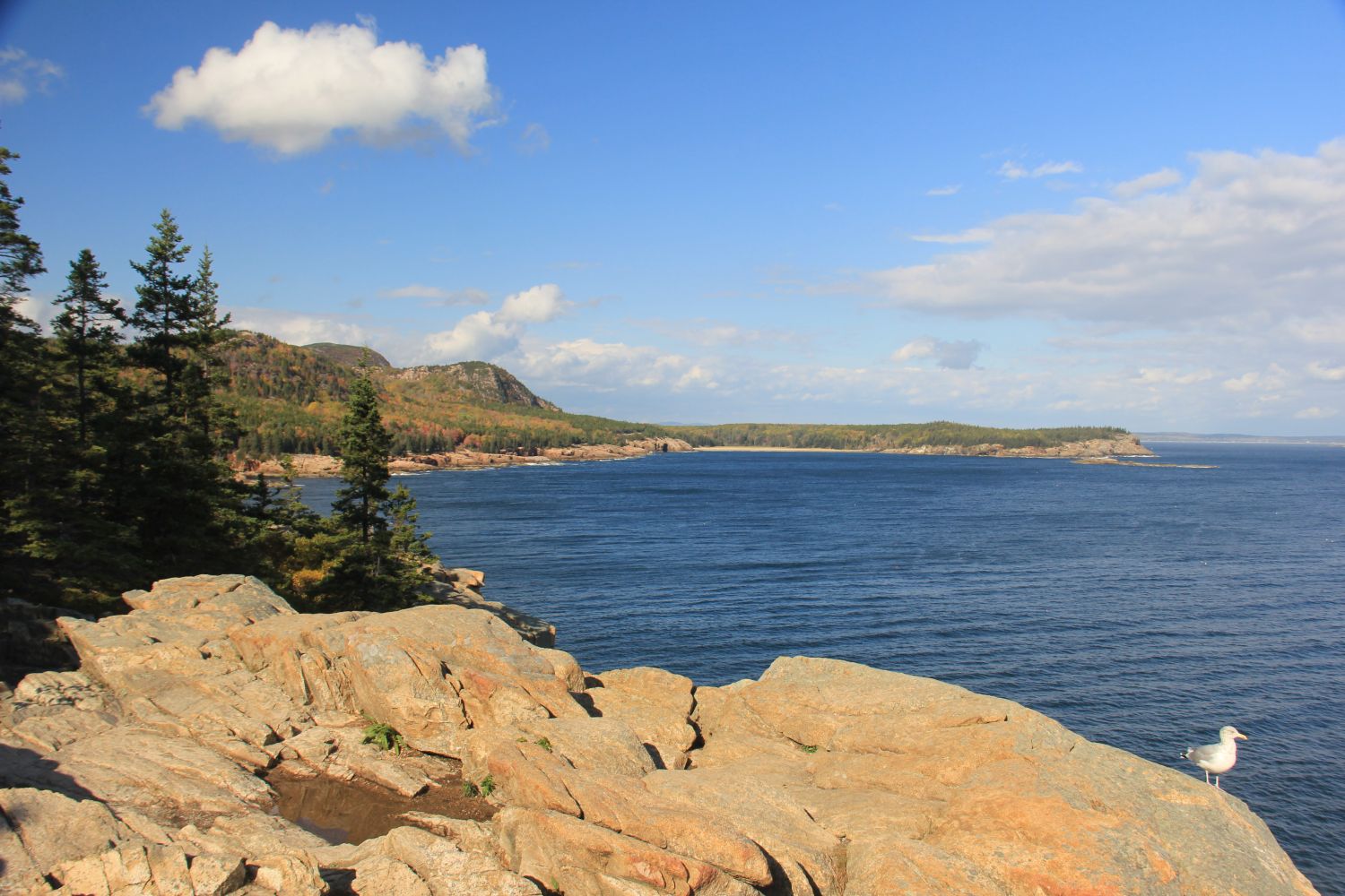 Ocean View Hike