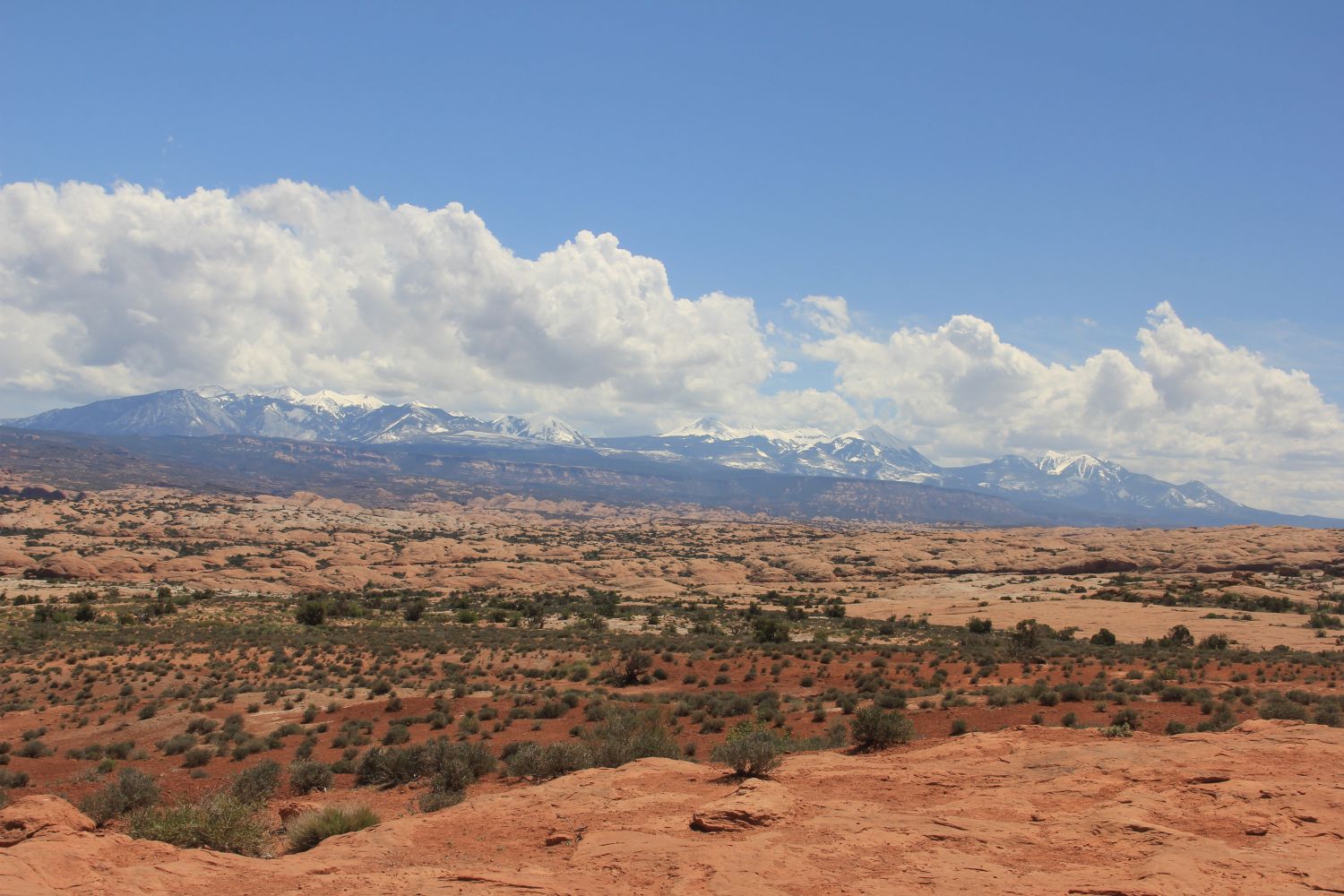 Arches