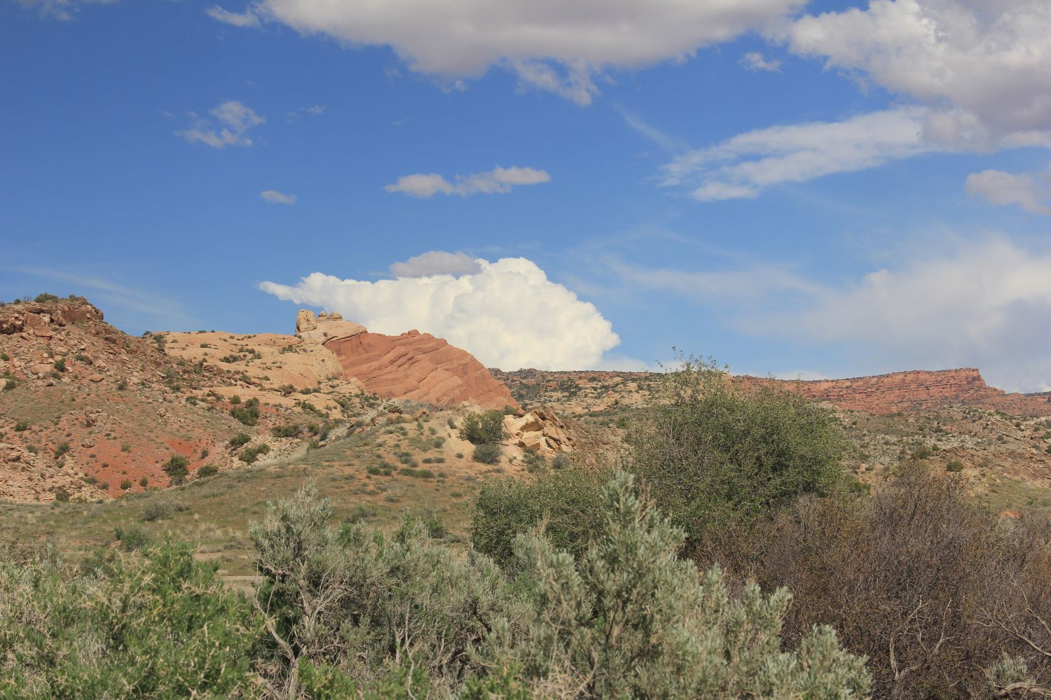 Delicate Arch