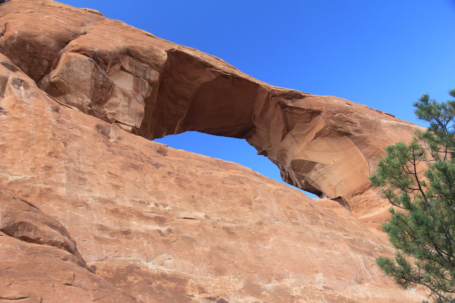 Skyline Arch