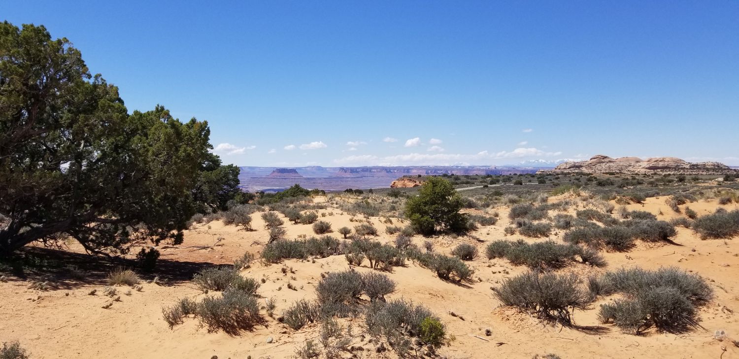 Mesa Arch