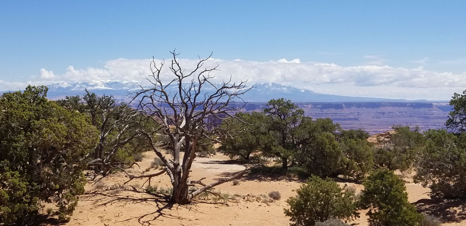 Mesa Arch