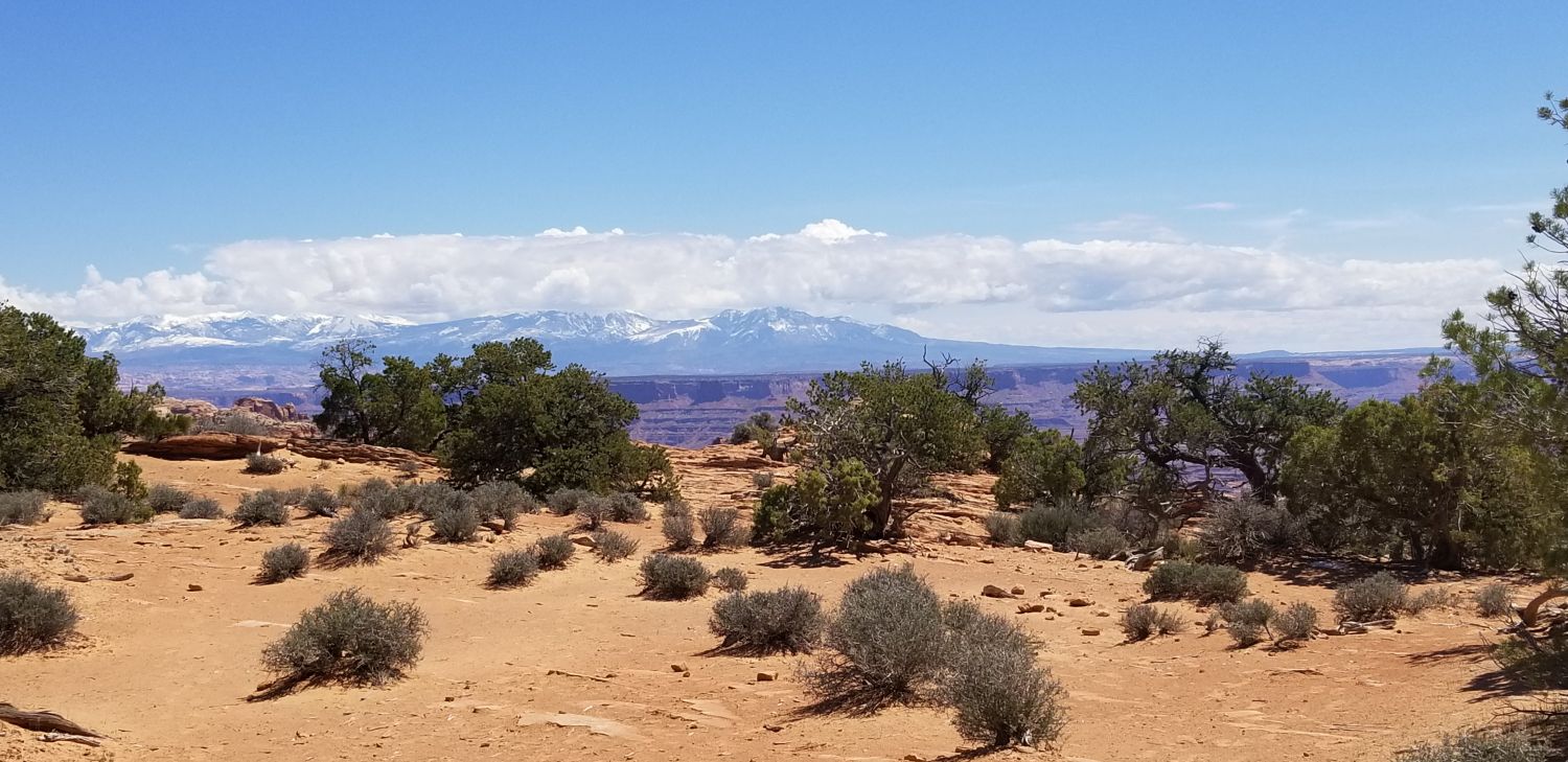 Mesa Arch