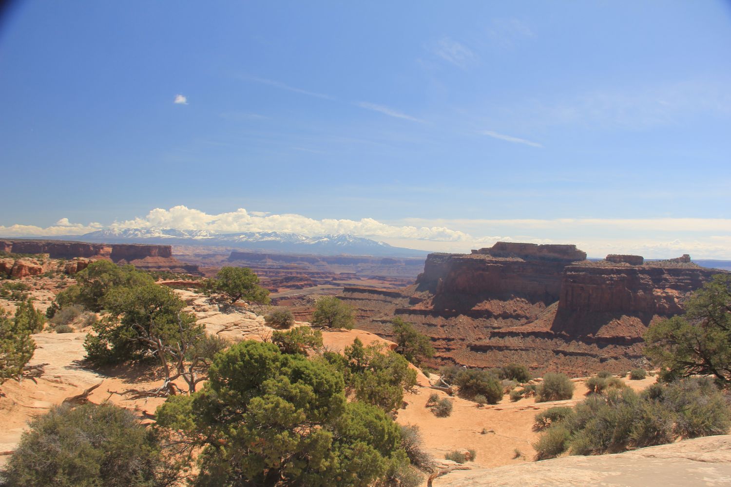 Shafer Canyon