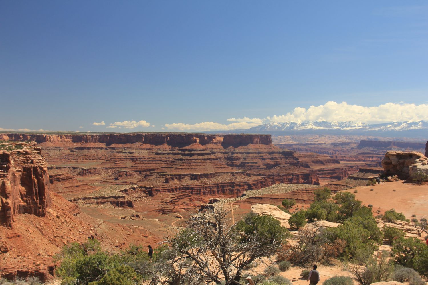 Shafer Canyon