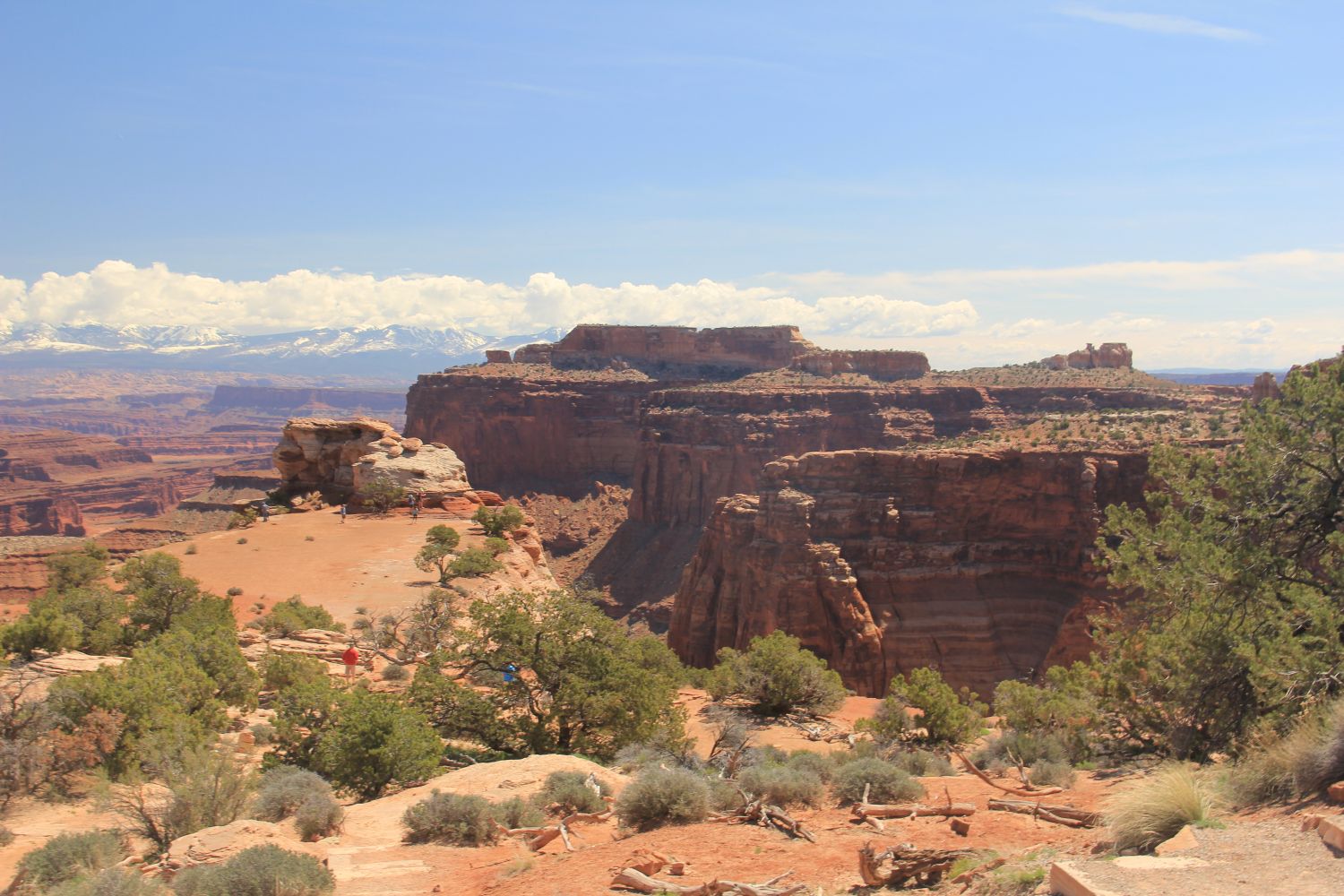 Shafer Canyon