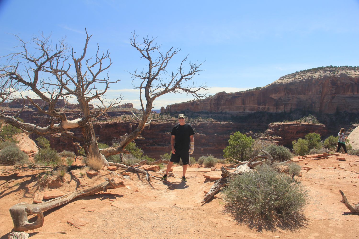 Shafer Canyon