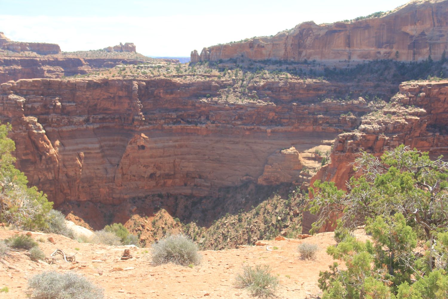 Shafer Canyon