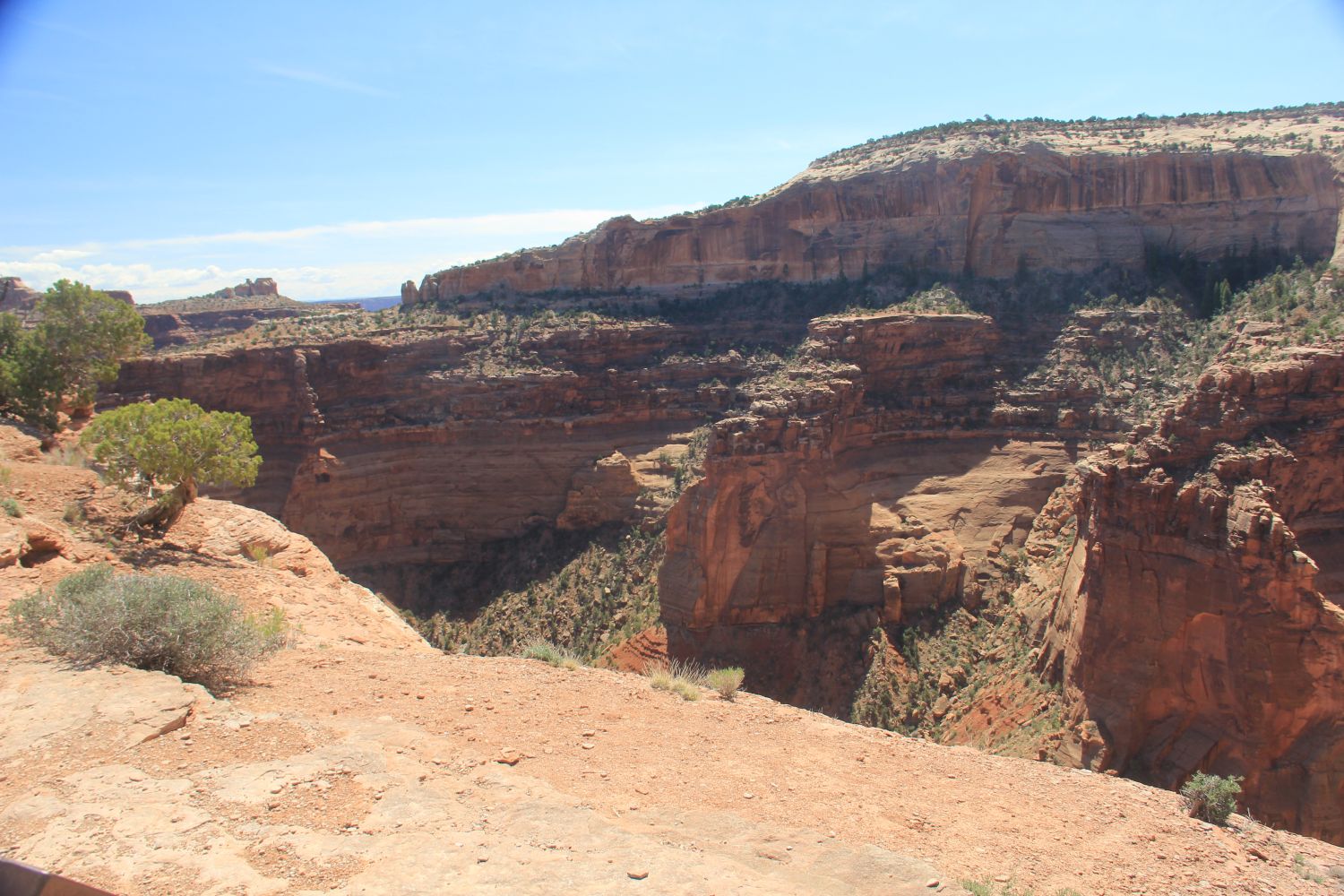 Shafer Canyon