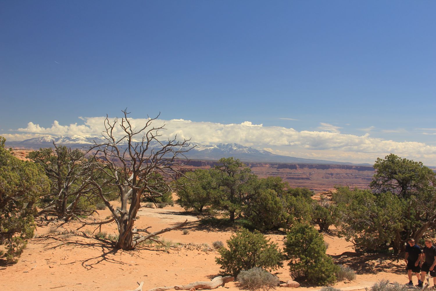 Mesa Arch