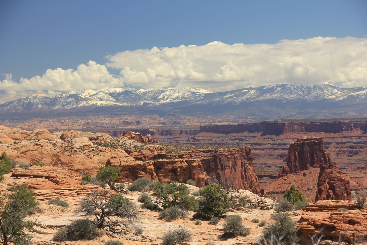 Mesa Arch