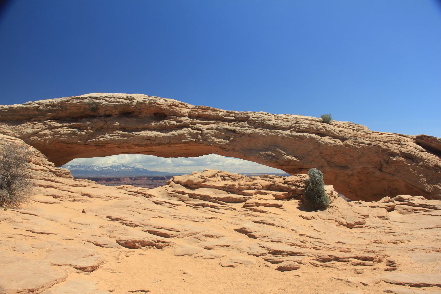 Mesa Arch