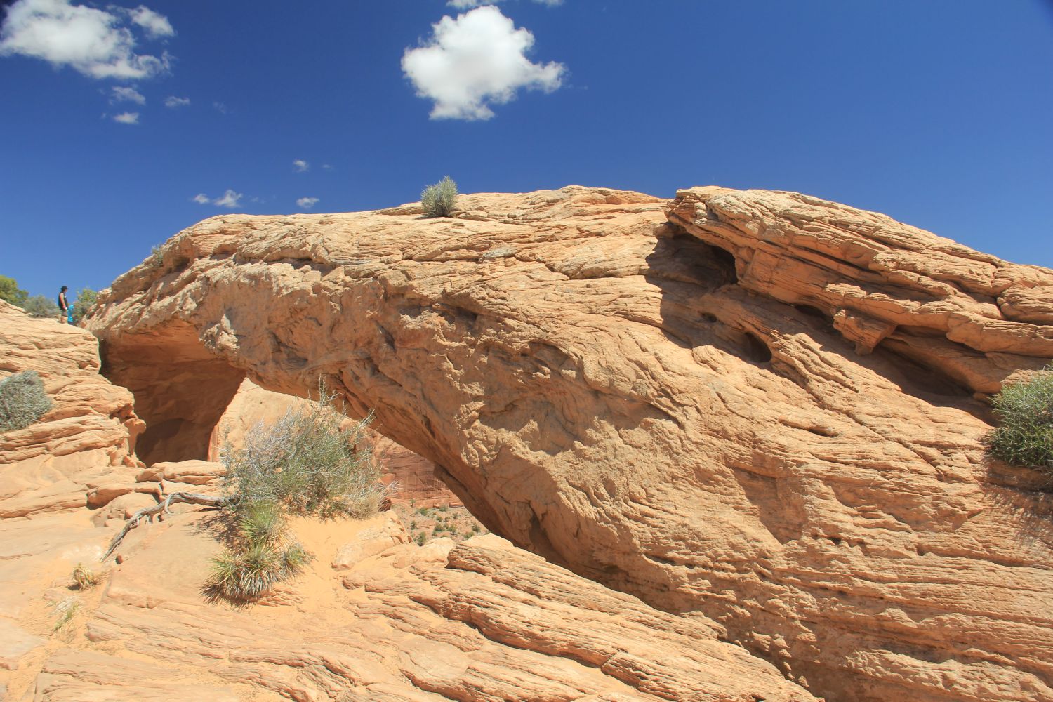 Mesa Arch