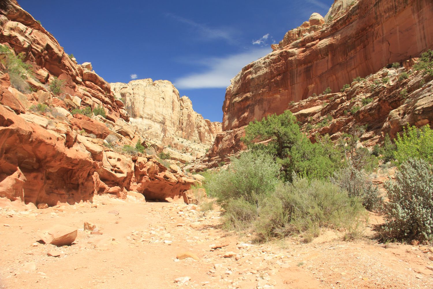 Capitol Reef