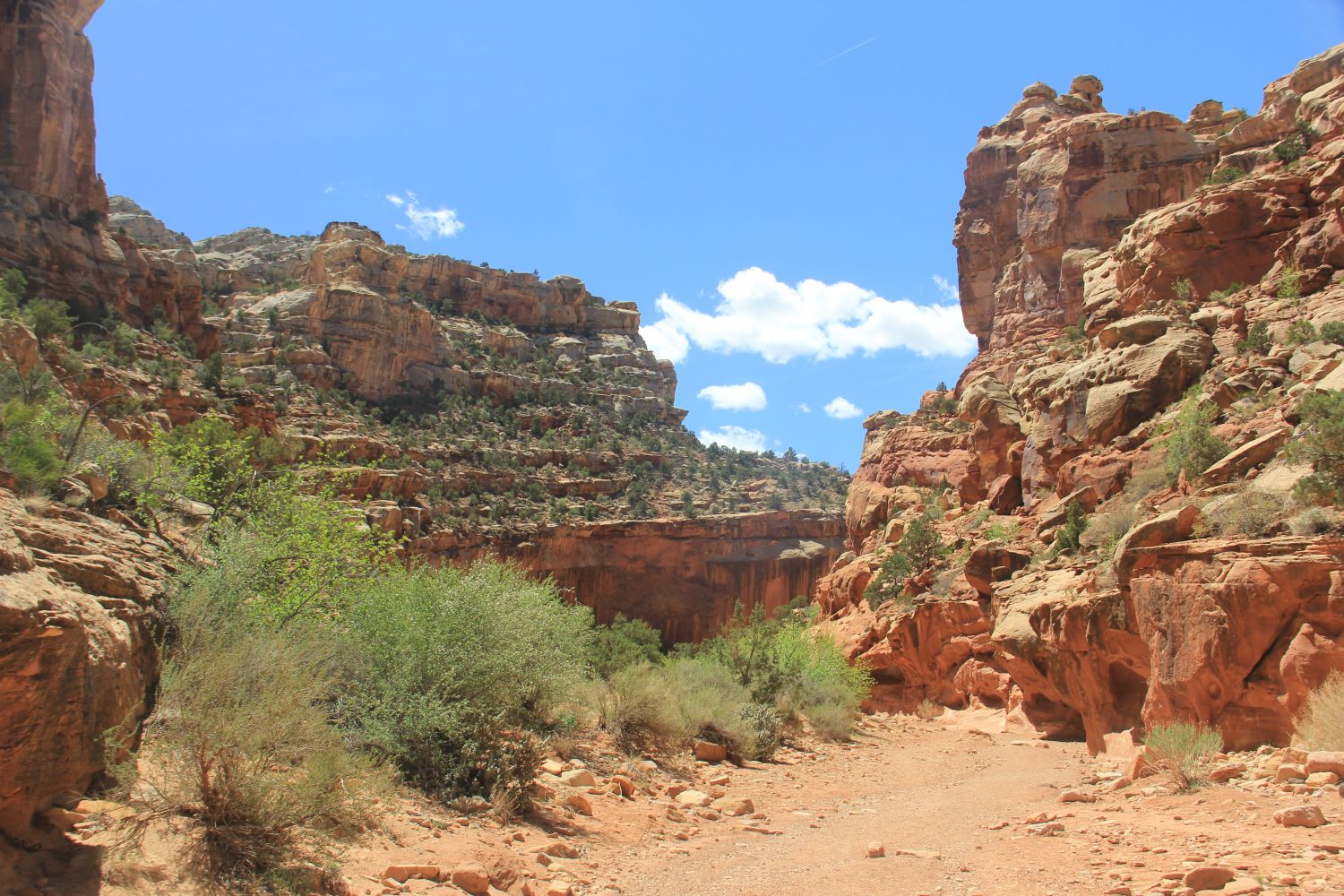 Capitol Reef