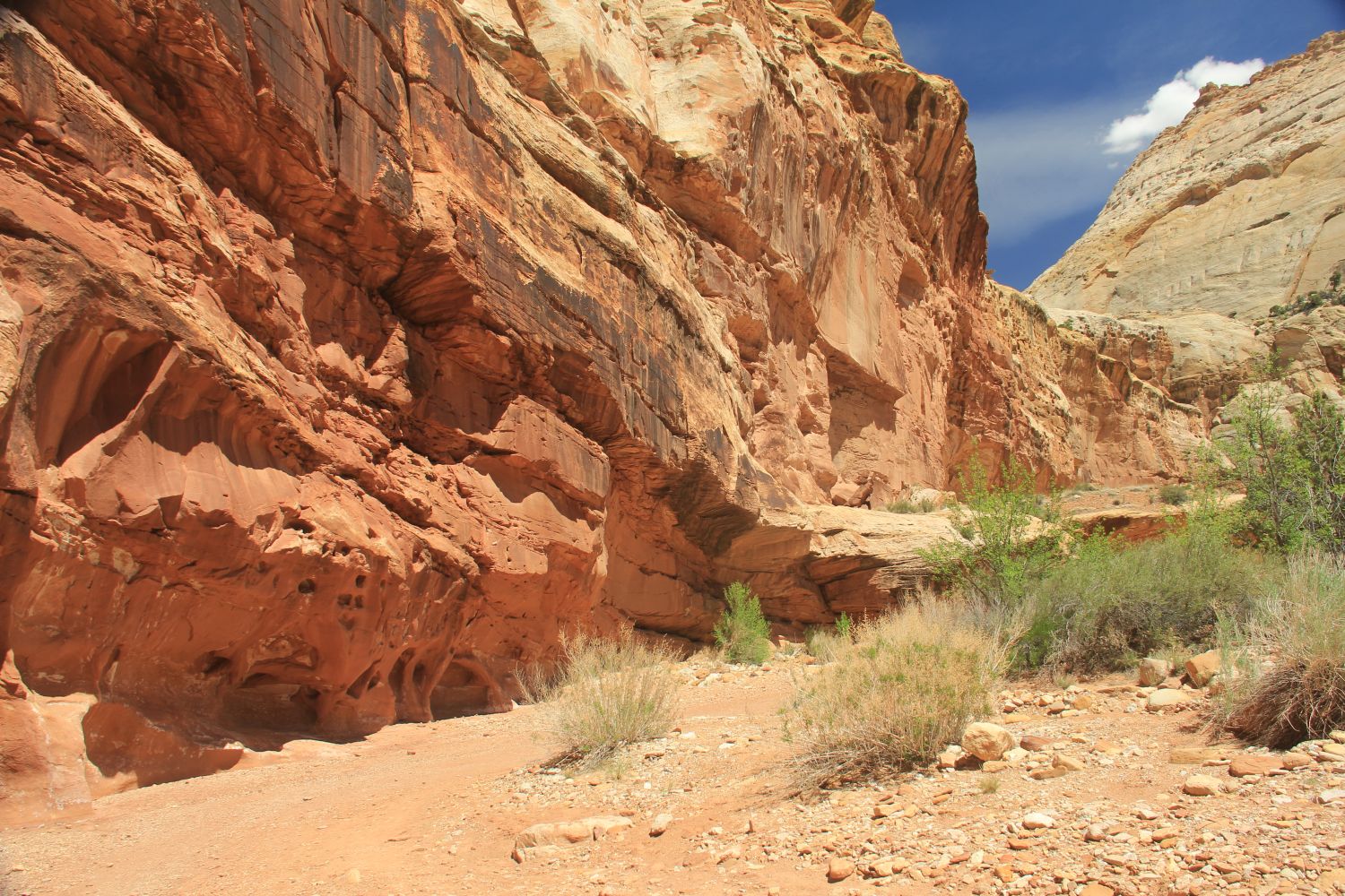 Capitol Reef