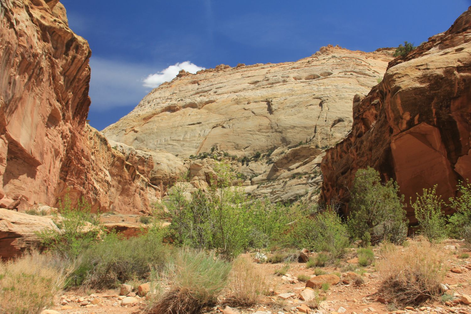 Capitol Reef