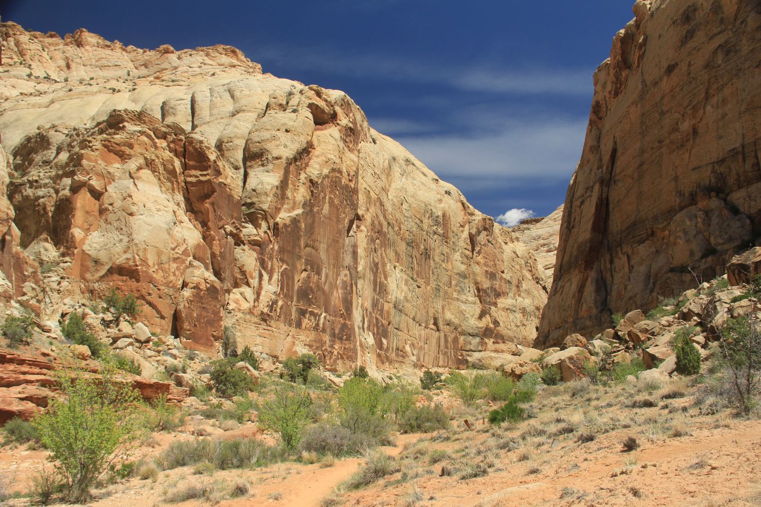 Capitol Reef