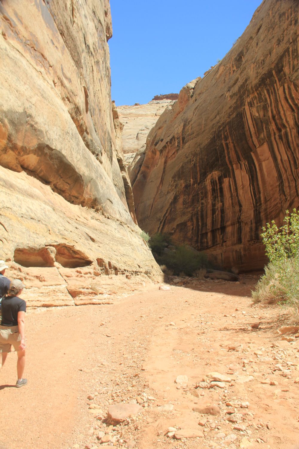 Capitol Reef