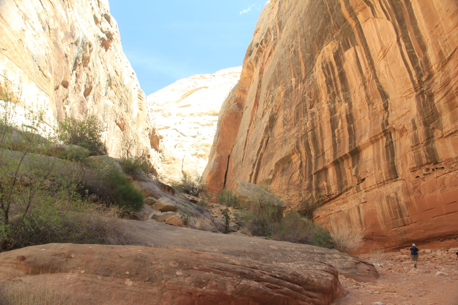 Capitol Reef