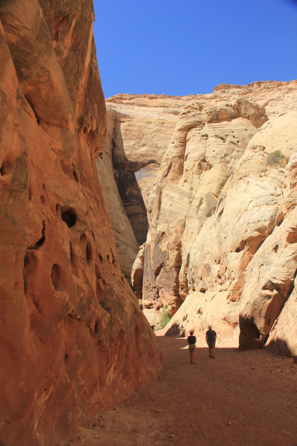 Capitol Reef