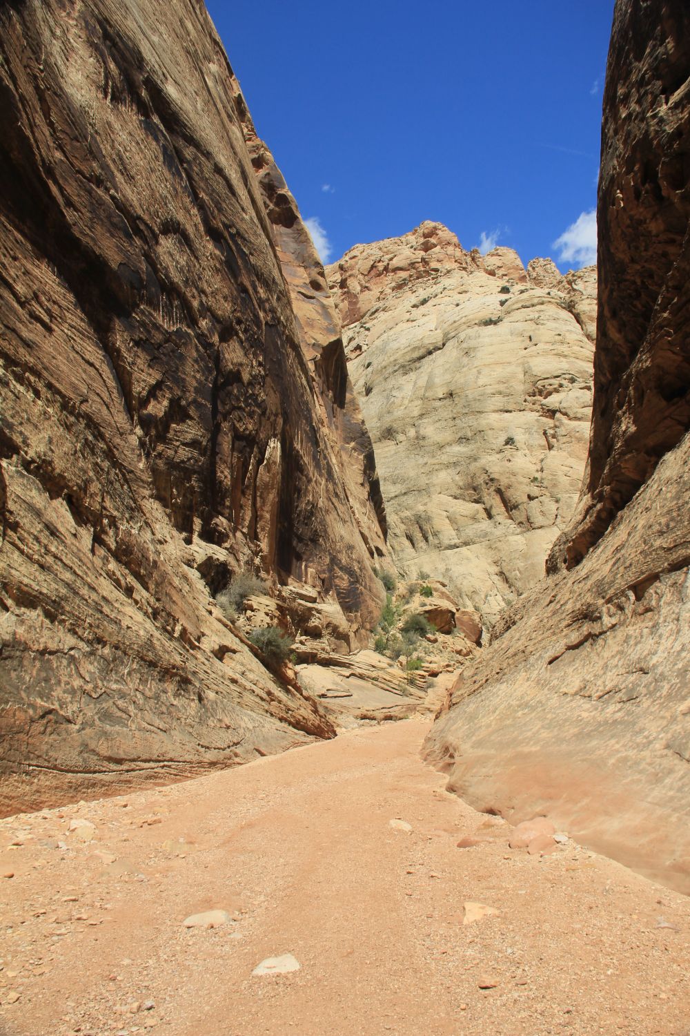 Capitol Reef